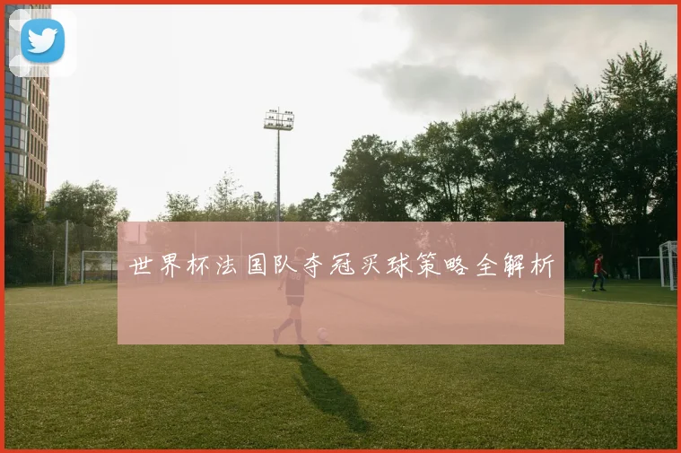 世界杯法国队夺冠买球策略全解析